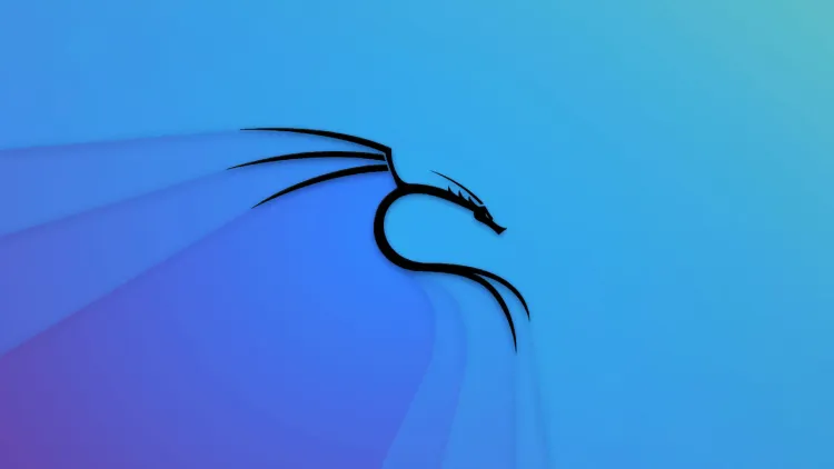 🔐 How to reset a forgotten password on Kali Linux?